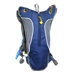 Gooseberry Hydration Pack