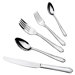 20 Piece Flatware Set