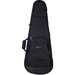 Contego Bass Guitar Case