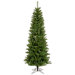Salem Pencil Pine 4.5' Artificial Christmas Tree with Multicolored LED Lights