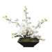 Floral Artificial Potted Orchid Square in White and Yellow
