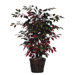 Bushes 48" Artificial Potted Natural Capensia Tree in Green and Red