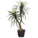 Deluxe 48" Artificial Potted Natural Marginata Tree in Dark Green