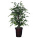 Deluxe 4' Artificial Potted Natural Japanese Maple Tree in Light Green