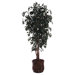Executive 6' Artificial Potted Natural Sakaki Tree in Dark Green