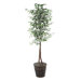 Economy 6' Artificial Potted Natural Variegated Ficus Tree in Dark Green