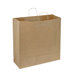 21" x 14" x 9" Shopping Bags in Natural