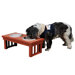 Habitat 'n Home� Raised Double Pet Diner