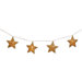 Pre-Lit Star Garland