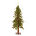 Hickory Cedar 3' Tree