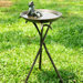 Cool Frog Birdbath