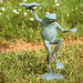 Dancing Frog Bird Feeder
