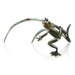 Rainforest Frog with Ladybug Statue