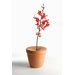 Bud Vase