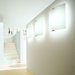 Selis Medium Wall/Ceiling Mount