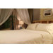 Organic 300 Thread Count Sheet Set