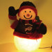 NFL 16" Fiber Optic Snowman