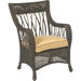 Serengeti Dining Arm Chair with Cushion