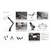 Car Holder for iPad Clamping Ball Joint Head Dual Arm