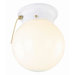 1 Light  Flush Mount