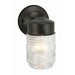 Jelly Jar 1 Light Outdoor Downlight Wall Lantern