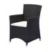 St. Tropez Dining Arm Chair with Cushion
