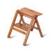 Step Stool