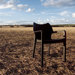 Diva Stacking Dining Arm Chair