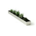 Rectangular Fruit Trough Planter