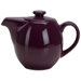 Teaz 24 oz Teapot with Infuser