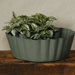 Chelsea Tray