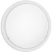 Planet Wall Sconce