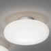 1 Light Ceiling Fixture Semi-Flush