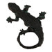 Curiosities Lizard Distressed Cabinet Knob