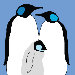 Animal - Penguins Stretched Wall Art