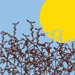 Imagination - Meadow Stretched Wall Art