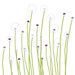 Imagination - Dandelion Stretched Wall Art