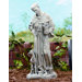 St. Francis Statue