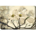 Dogwood Watercolor Outdoor Canvas Art