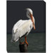 Pelican On Post Outdoor Canvas Art