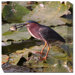 Catch of The Day Outdoor Canvas Art