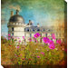 Chateau and Cosmos Art Painting