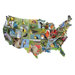 State Birds USA Shaped Puzzle