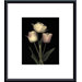 Prelude I Metal Framed Art Print