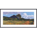 Summer Vista Metal Framed Art Print