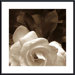 Gardenia Garden Metal Framed Art Print