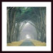 Corridor of Cypress by E. Loren Soderberg Wood Framed Art Print