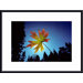 Leaf Metal Framed Art Print