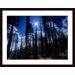 Star Bright Wood Framed Art Print