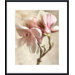 Pink Magnolia II by Donna Geissler Metal Framed Art Print